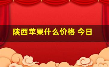 陕西苹果什么价格 今日